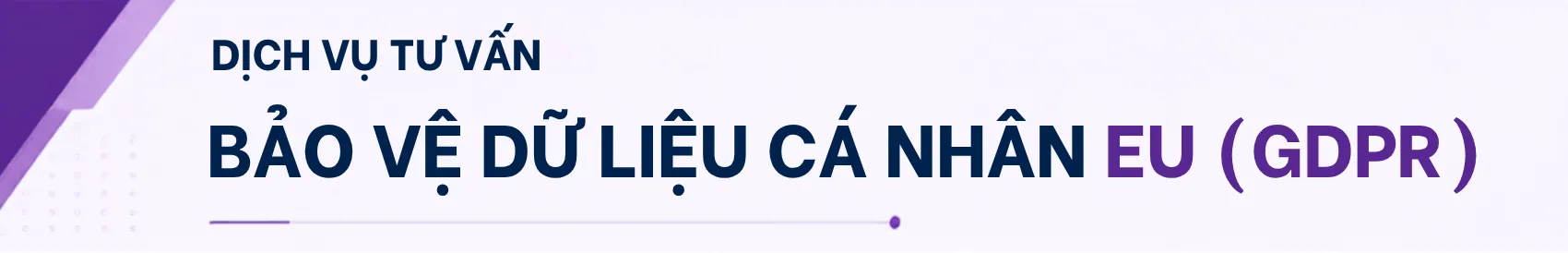 Tư vấn tuân thủ GDPR