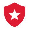 national security icon